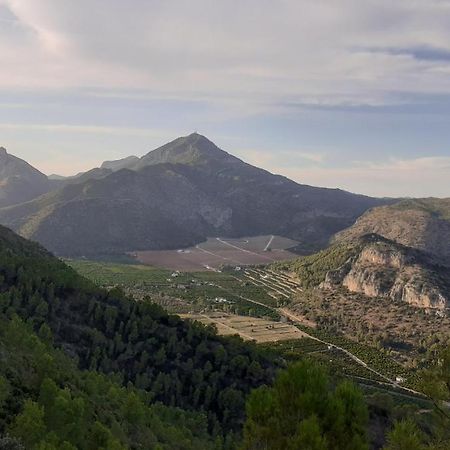 Les Moreres Gandía Kültér fotó